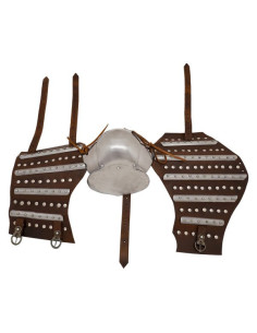 Coppia di Armi storiche medievali con placche (XIV-XV sec.) 2