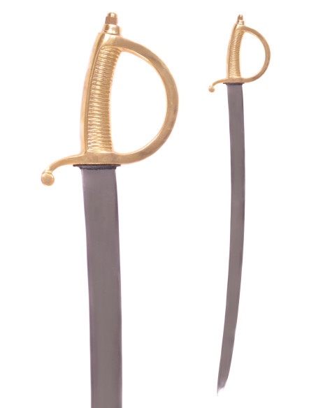 Sciabola da fanteria francese briquet...