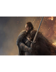 Banner-Bandiera di Jon Snow, Game of Thrones 2