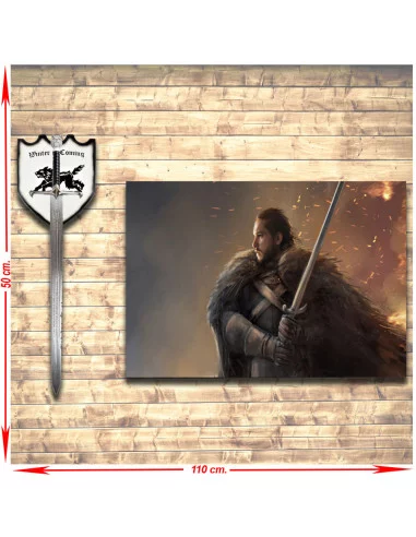 Stendardo di Jon Snow e pacchetto di spade, Il Trono di Spade
