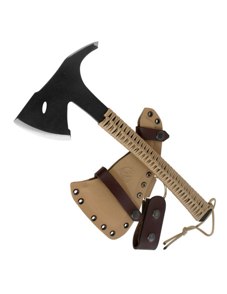 Ascia sentinella del deserto del condor