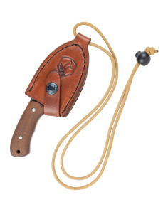 Coltello a collo di scarabeo 2