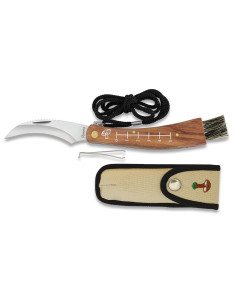 Coltello a fungo Albainox con manico curvo