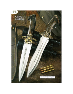 Coltello Cervus manico in corno di cervo 2