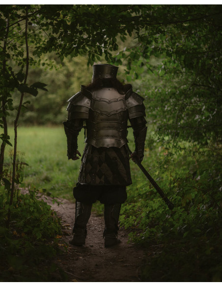 Pettorale e schienalino gotici,...