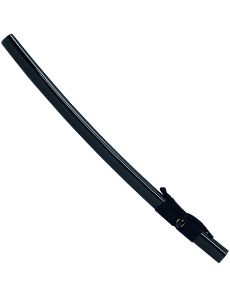 Iaito Ninja di John Lee