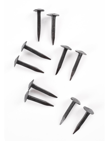 Set 10 chiodi forgiati per raccordi...