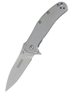 Coltello tascabile Kershaw Zing SS, lama 7,6 cm.