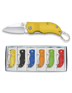 Collezione di 6 coltelli colorati (11 cm.)