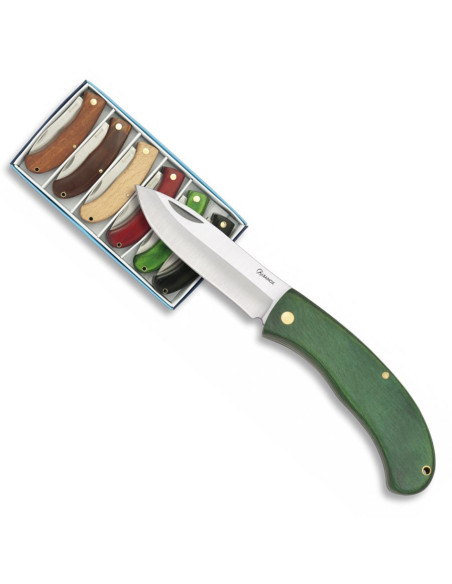 Set di 6 coltelli marca Albainox...