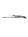 Coltello Albainox Laguiole tipo corno di toro (14,2 cm.)