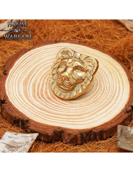 Decorazione testa di leone in ottone