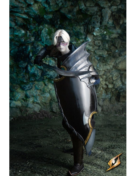 Scudo Fantasy del Tramonto, Universo...