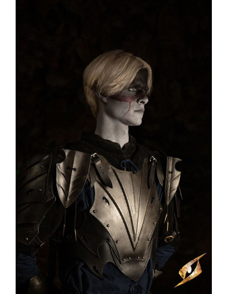 Pettorale corazzato dell'Elfo Oscuro...