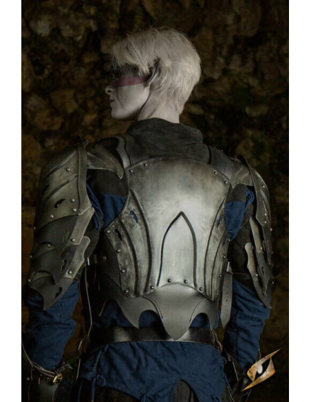 Pettorale corazzato dell'Elfo Oscuro...