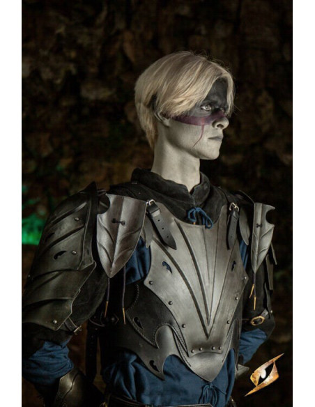 Pettorale corazzato dell'Elfo Oscuro...