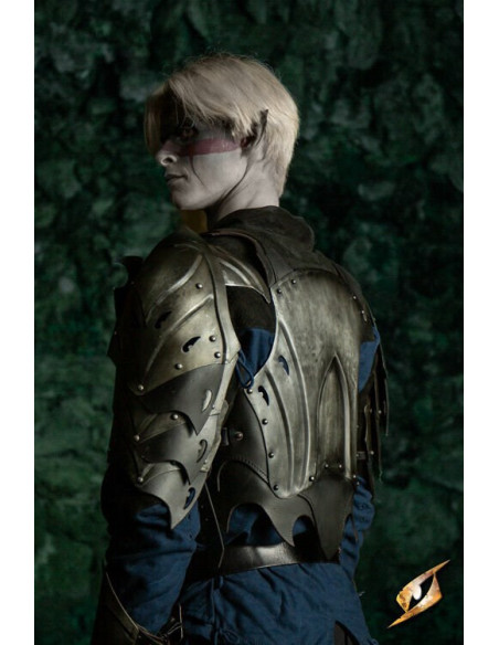 Pettorale corazzato dell'Elfo Oscuro...