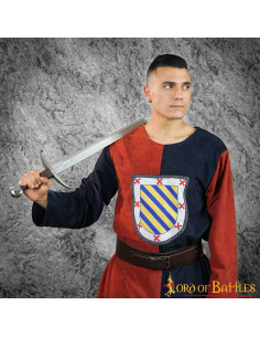 Scudo araldico tabardo medievale bicolore
