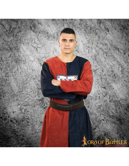 Scudo araldico tabardo medievale...