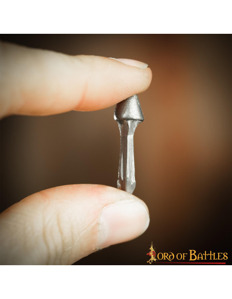 Set di 100 chiodi romani funzionali...