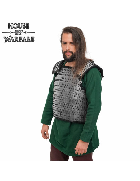 Armatura lamellare vichinga Birka in...