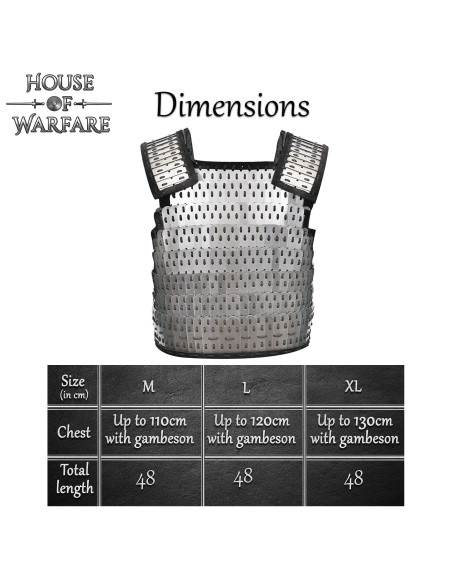 Armatura lamellare vichinga Birka in...