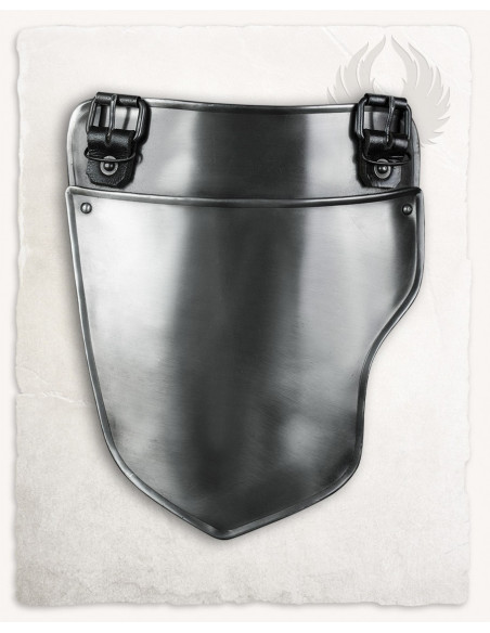 Guardie carcerarie medievali modelli...