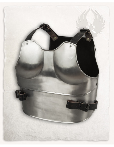 Pettorale e schienale medievale...