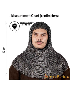 Boia in cotta di maglia d'acciaio rivettata in cupola (10... 2