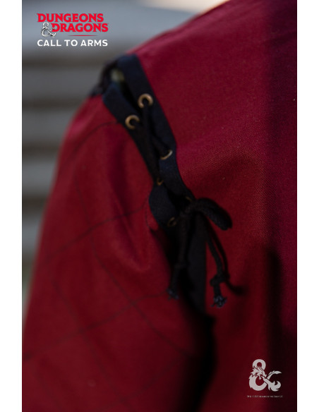 Tunica da guerriero medievale,...