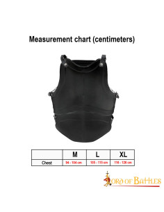 Corazza a quattro piastre Classic Fantasy, acciaio nero 2