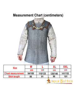 Lorica Hamata realizzata in rete di acciaio (9 mm.) 2