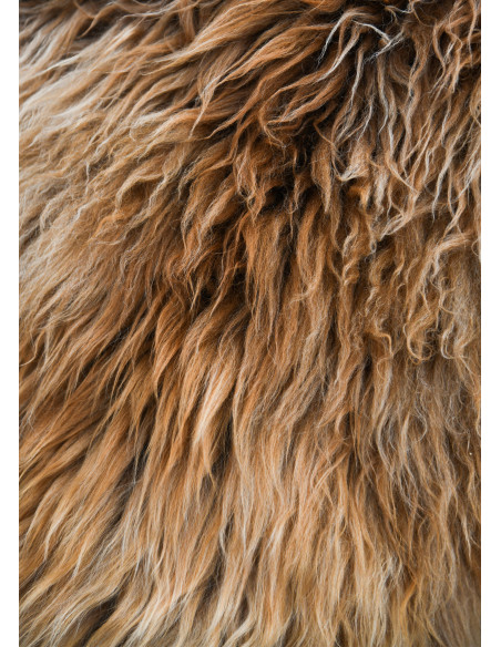 Pelle Berserker marrone per guerrieri...