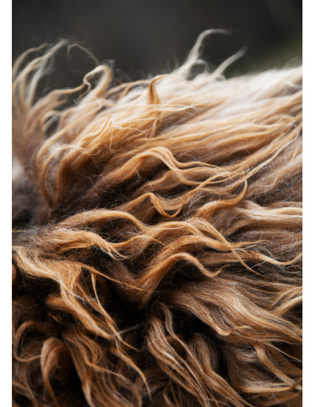 Pelle Berserker marrone per guerrieri...