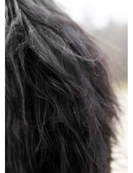 Pelle nera Berserker per guerrieri...