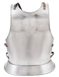 Pettorale completo in stile gotico, acciaio da 1,2 mm. 2