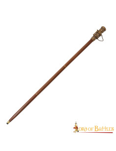 Bastone modello Steampunk con cannocchiale (99,5 cm.)