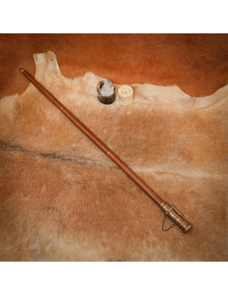 Bastone modello Steampunk con...