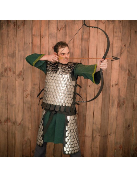 Pettorale in scala di guerriero...