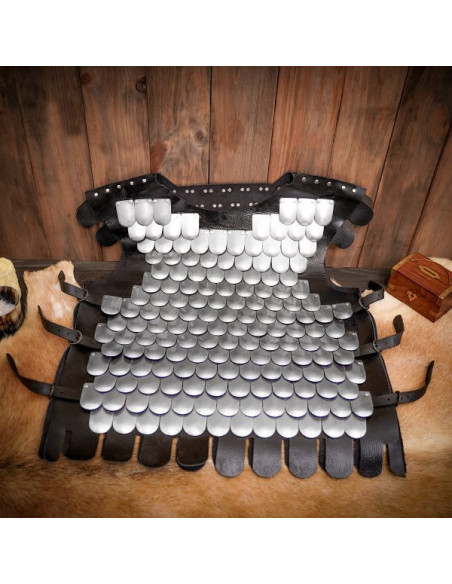 Pettorale in scala di guerriero...