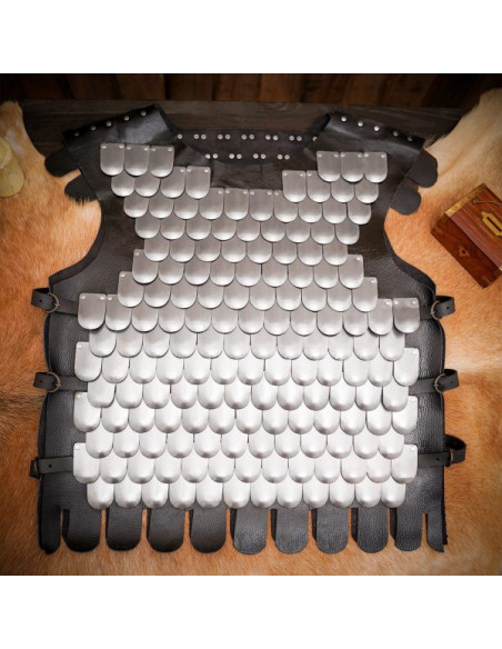 Pettorale in scala di guerriero...