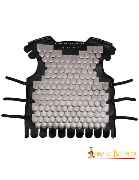 Pettorale in scala di guerriero...