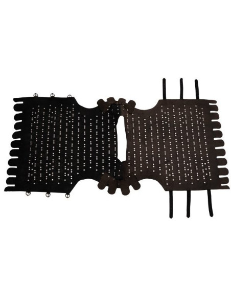 Pettorale in scala di guerriero...