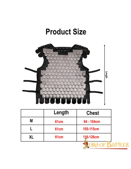 Pettorale in scala di guerriero...