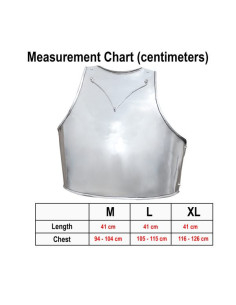 Corazza medievale italiana Churburg 2