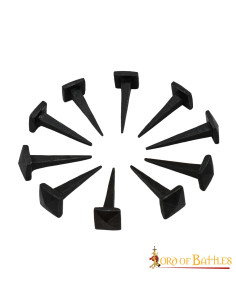 Set 10 chiodi in ferro forgiati a mano 2