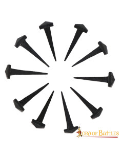Set 10 chiodi in ferro forgiati a mano