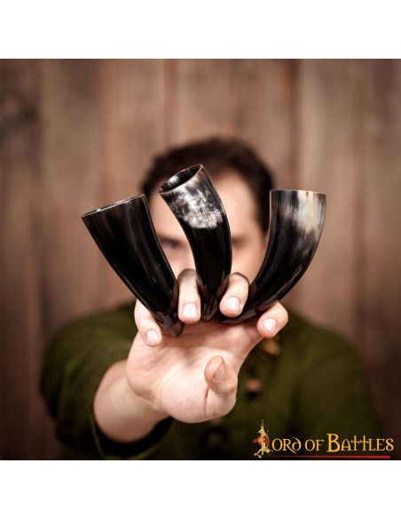 Set di 3 corna di bue vichingo (100 ml.)