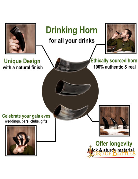 Set di 3 corna di bue vichingo (100 ml.)