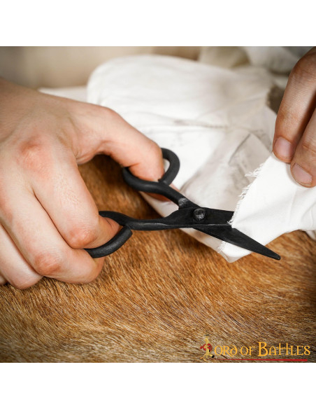 Funzionali forbici medievali in ferro...